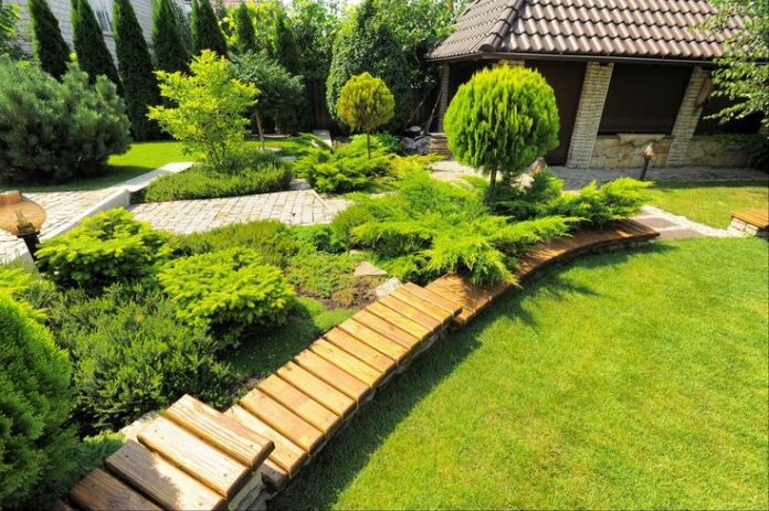 Работа с древесиной в садовом дизайне — важные аспекты и особенности