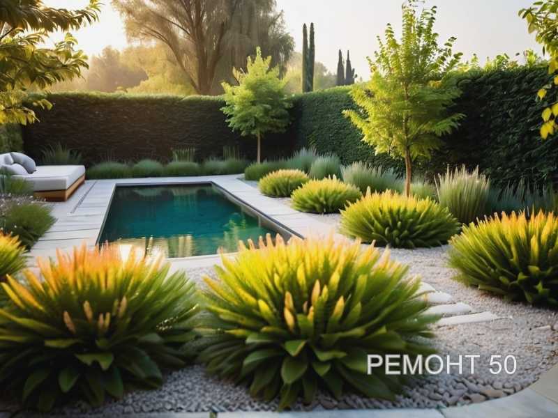 Размножение лавровишни семенами