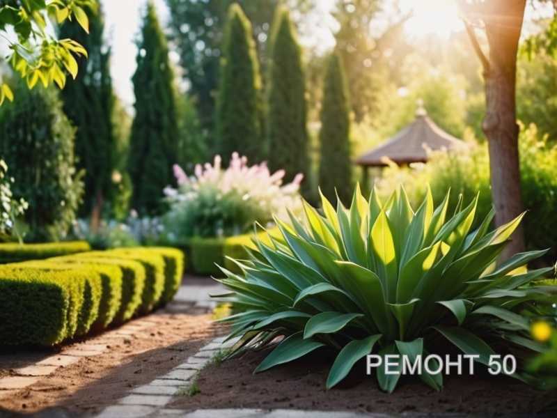 Подготовка почвы