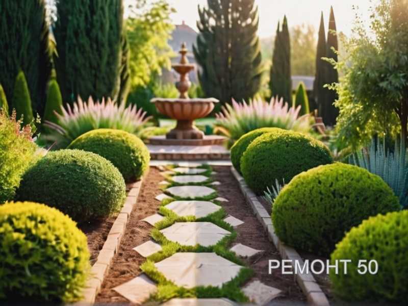 Подготовка почвы и посадка ревеня