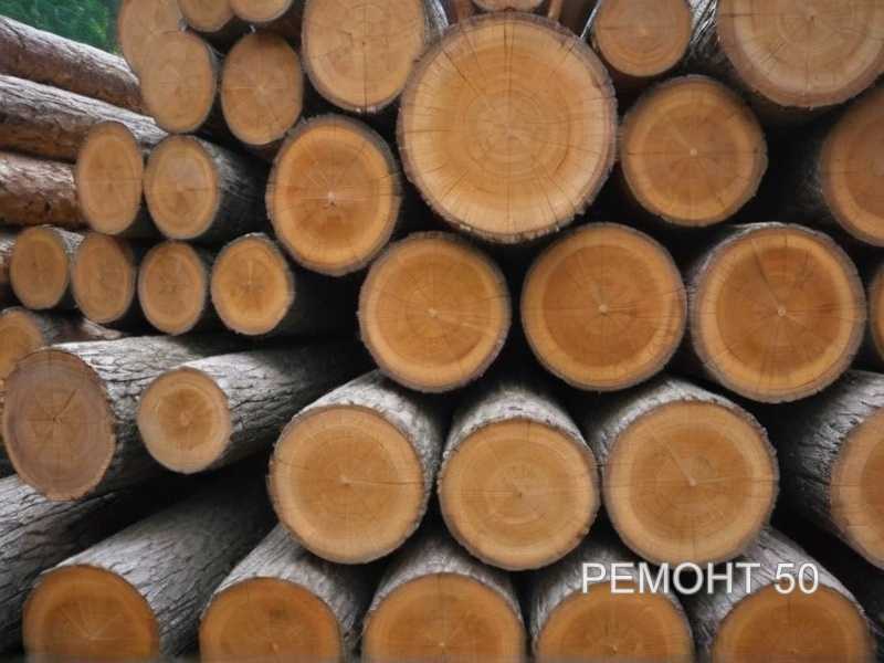 Стабильность древесины