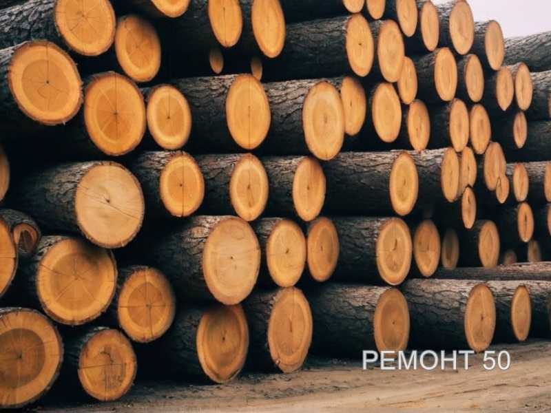 5. Ясень