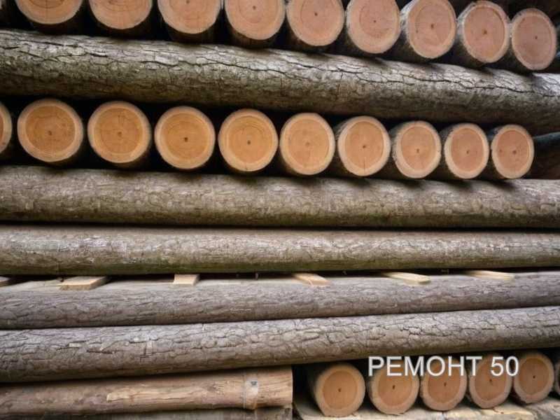 Выбор подходящей породы дерева для декора