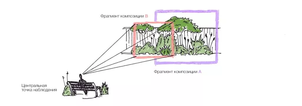 Правила композиции при выборе растений